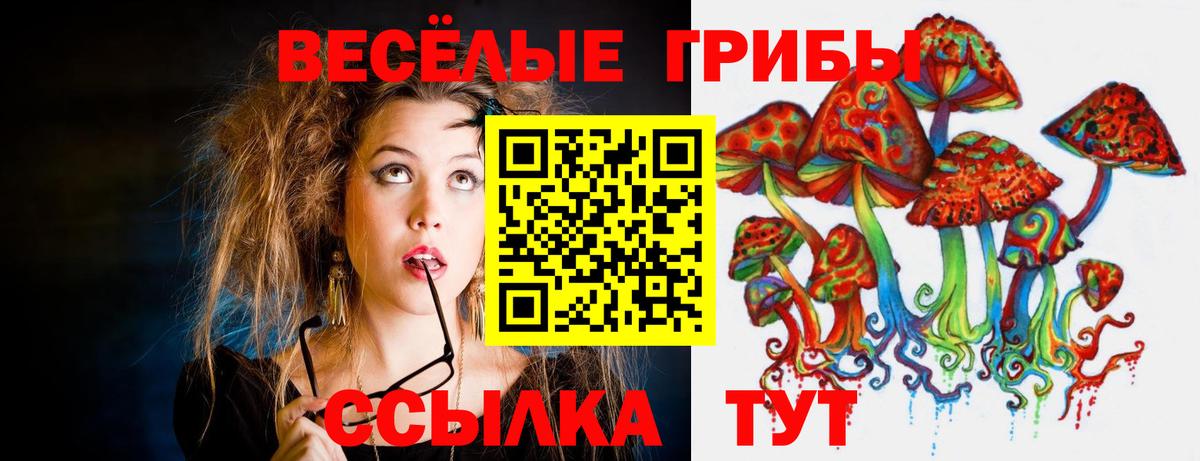 Галлюциногенные грибы Magic Shrooms  Вход с VPN  Тимашёвск  Галлюциногенные грибы GOLDEN TEACHER 